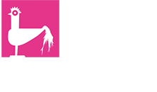 Museo La Esquina